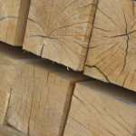 High Quality Green Oak Unseasoned - 30% to 80% Moisture Content