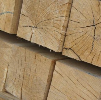 High Quality Green Oak Unseasoned - 30% to 80% Moisture Content