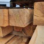 High Quality Green Oak Unseasoned - 30% to 80% Moisture Content - Image 2