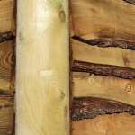Larch Lap - Image 5